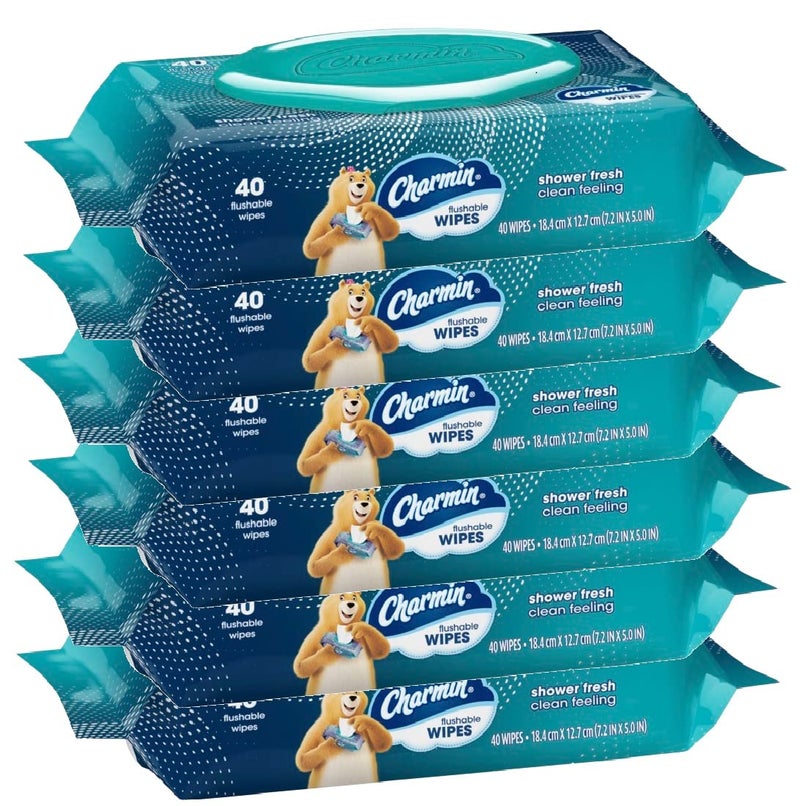 Charmin Freshmates Flushable Wipes (Pack of 3) 80ct - Image 1